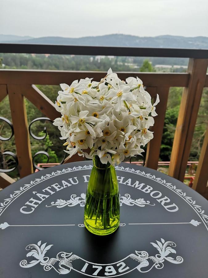 Katun Apartmani & Spa Divčibare Exterior foto